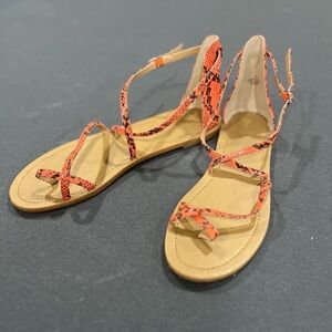 Express Coral Snake Print Ankle Strap Sandals Women’s Shoe Size 10